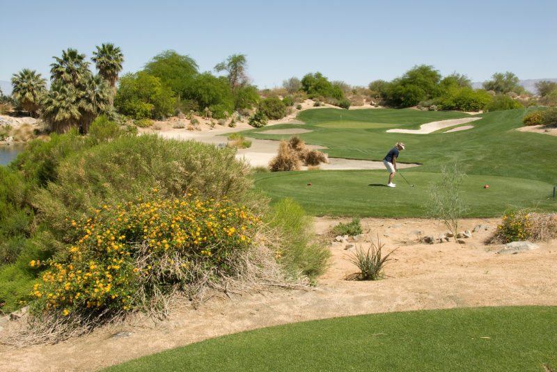 A man playing a Golf in a Palm Desert country club